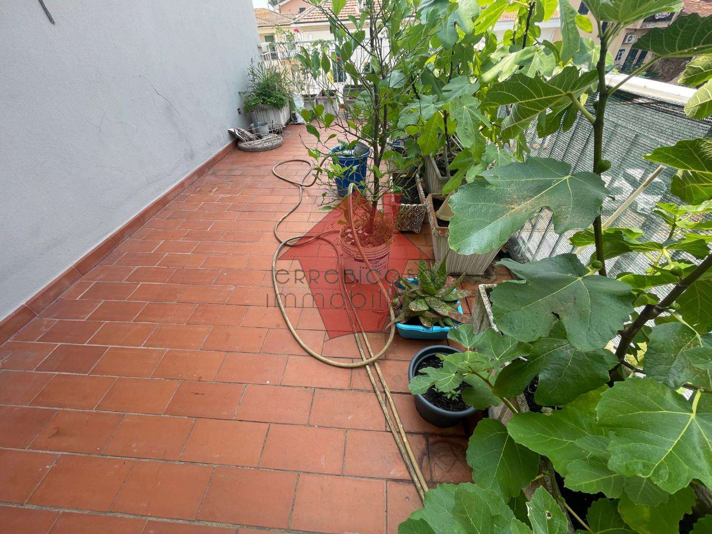  - foto 13
