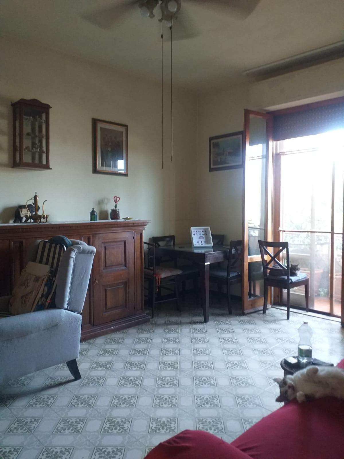 immagine annuncio 3 di 11