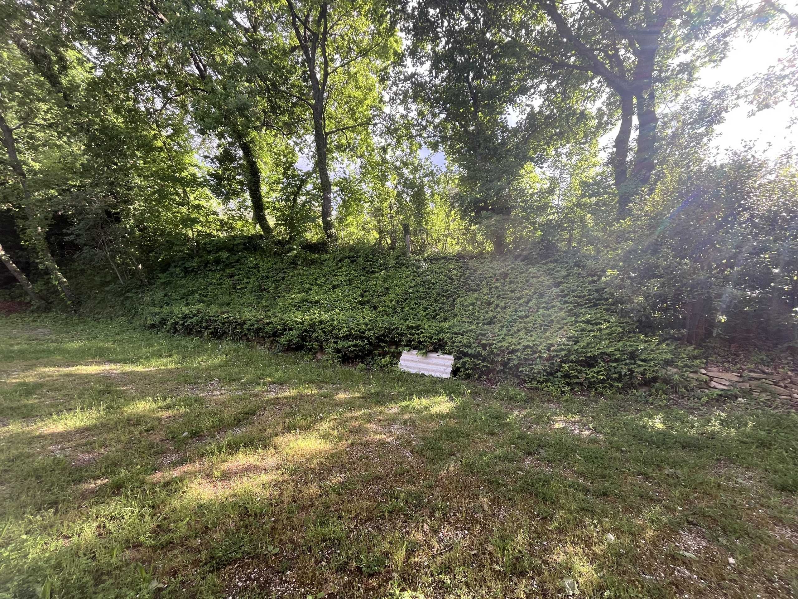  - foto 19