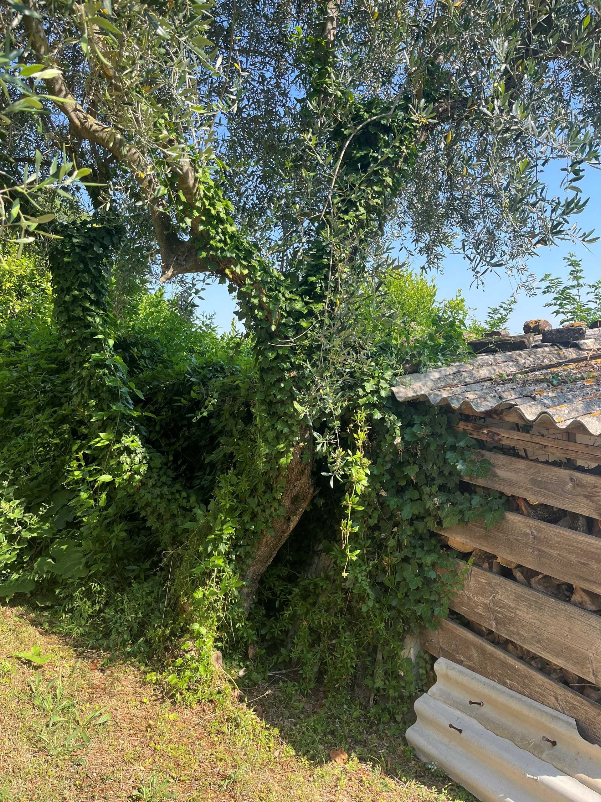  - foto 21