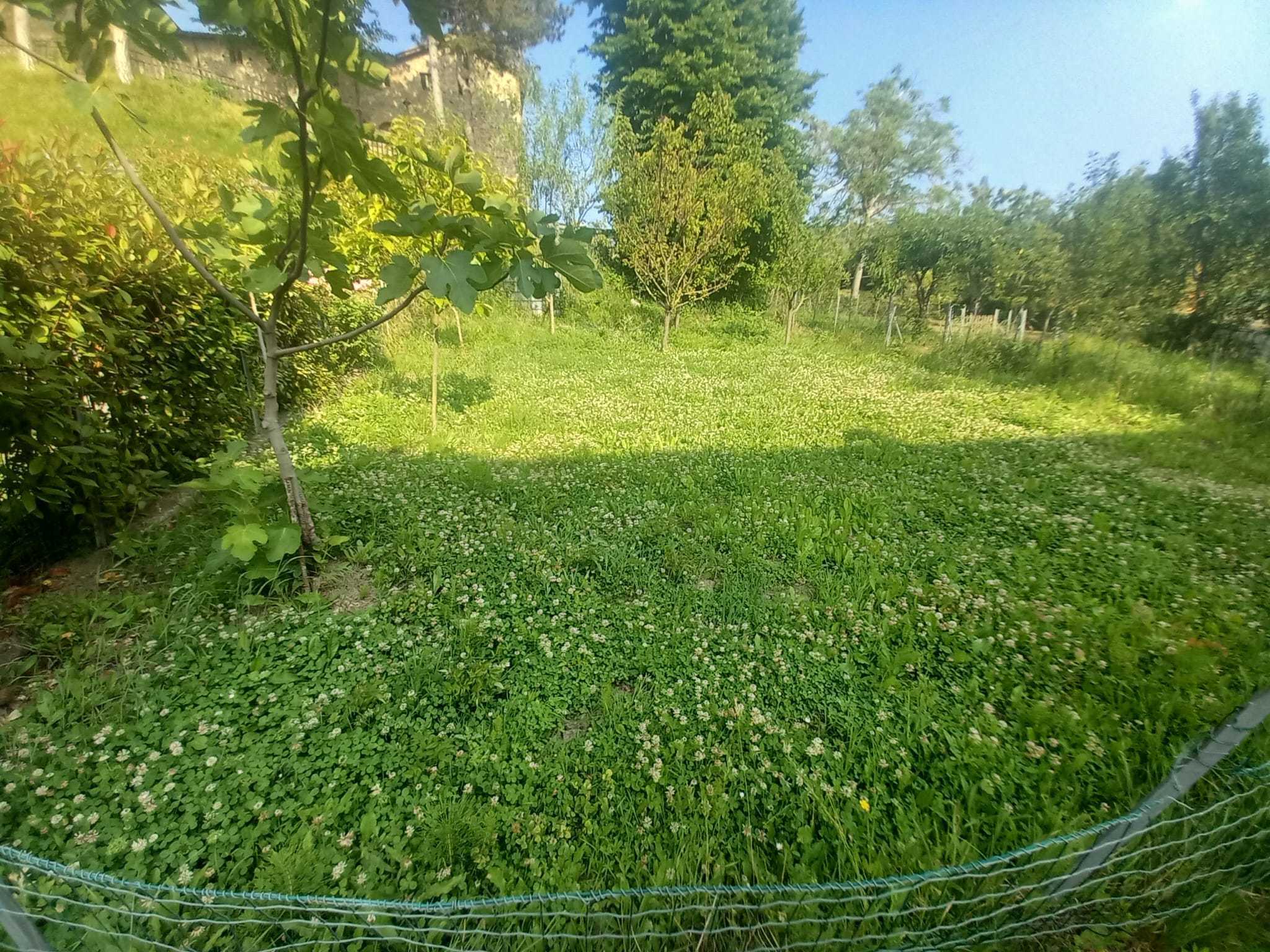  - foto 5