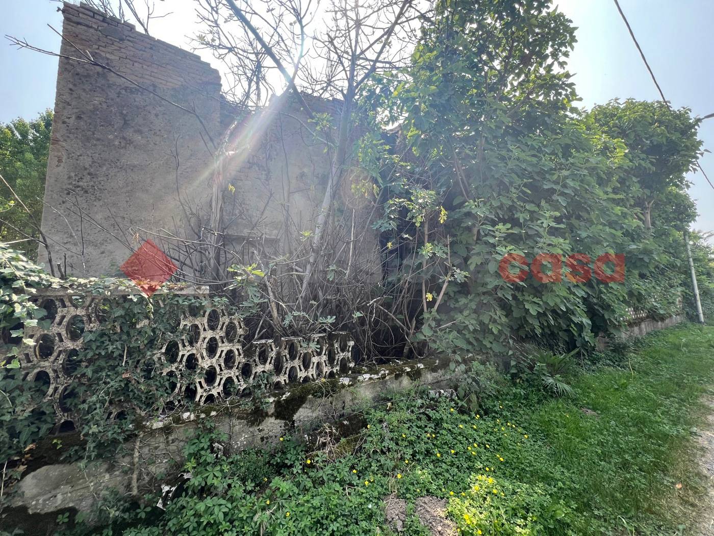 immagine annuncio 2 di 3