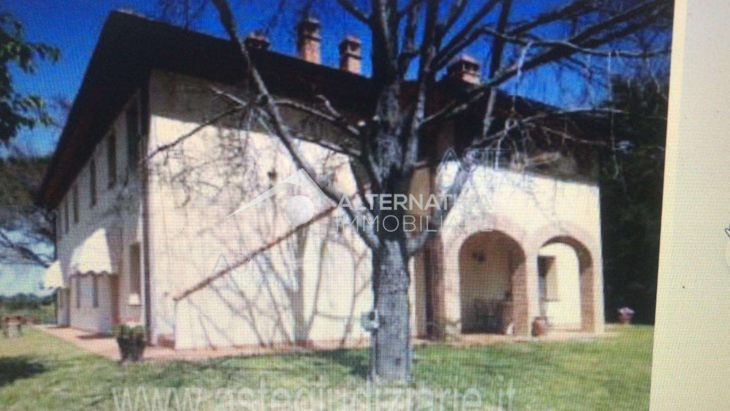 immagine annuncio 2 di 12