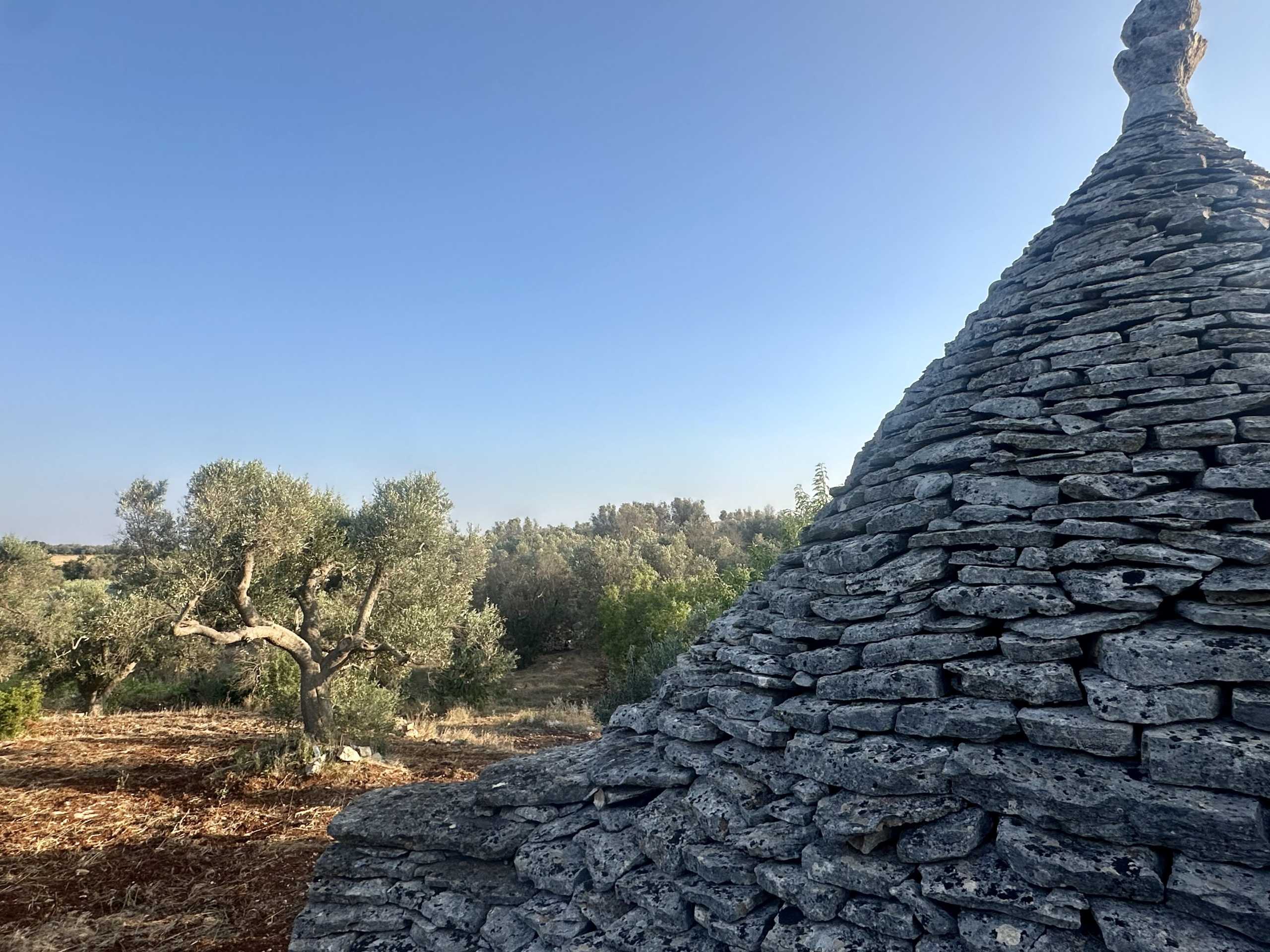 Terreno edificabile Contrada Barone, Ceglie Messapica