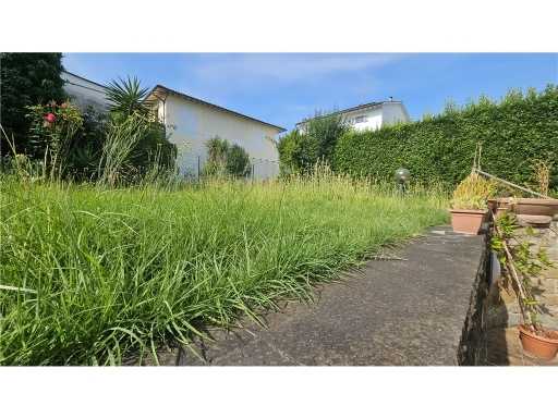  - foto 31