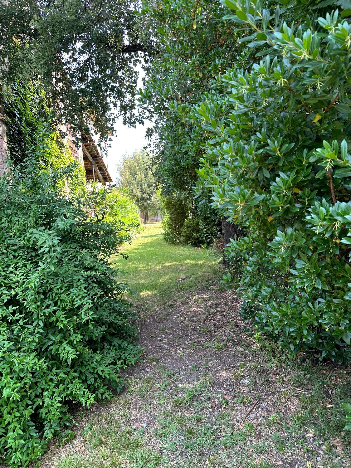  - foto 30