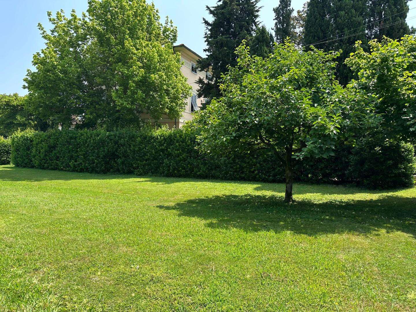  - foto 33
