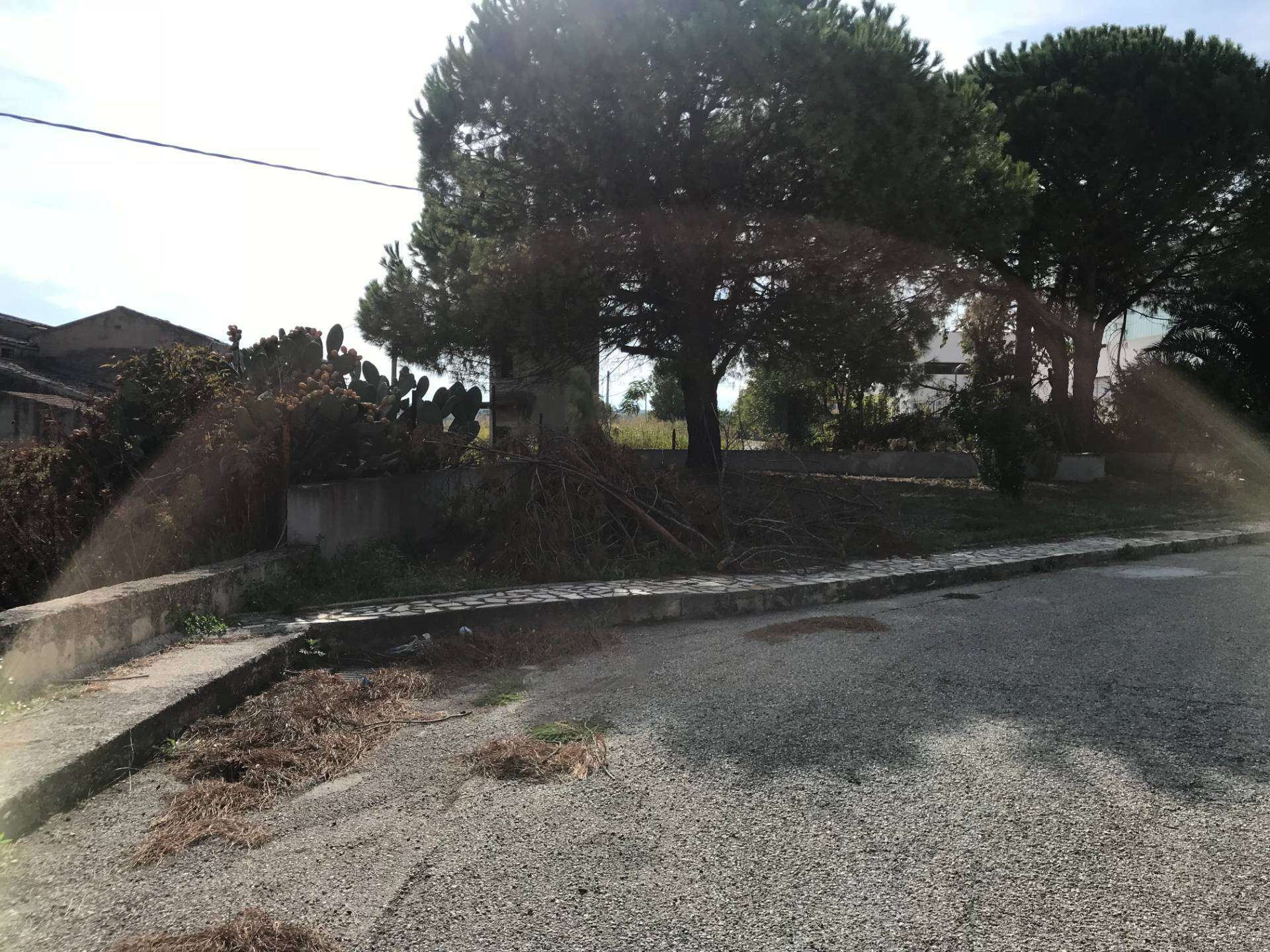  - foto 61