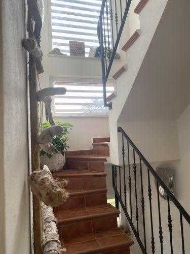  - foto 12