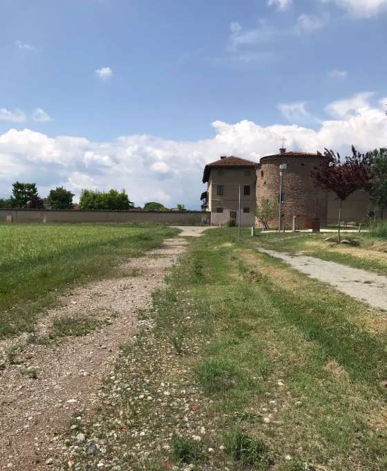 immagine annuncio 5 di 13