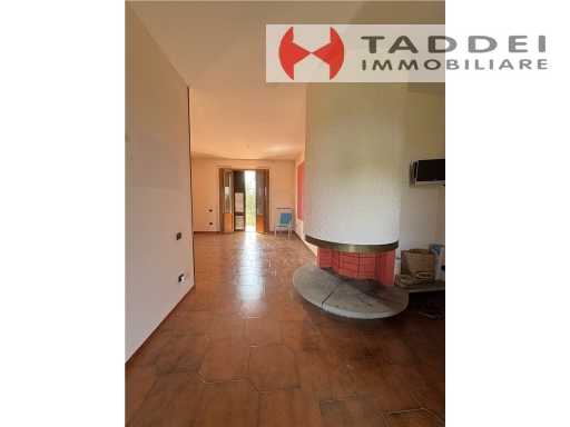  - foto 29