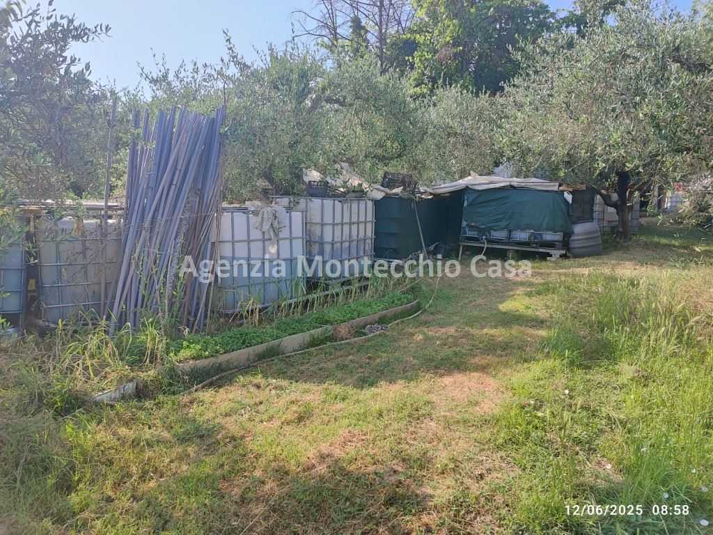 immagine annuncio 8 di 14