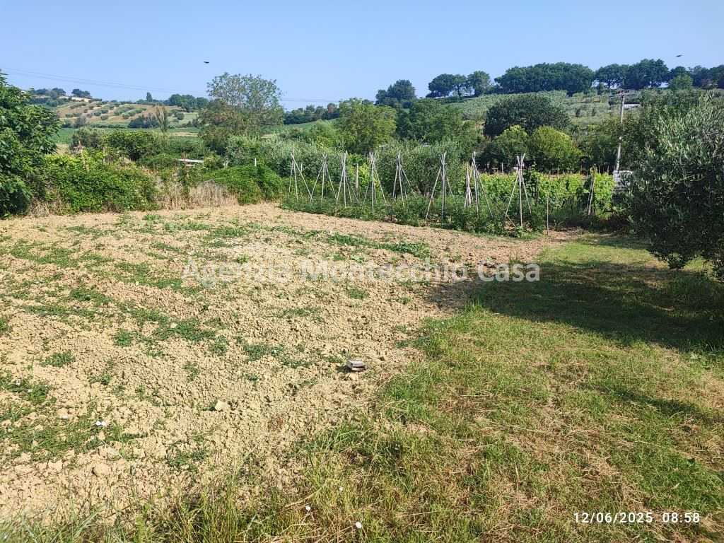 immagine annuncio 9 di 14