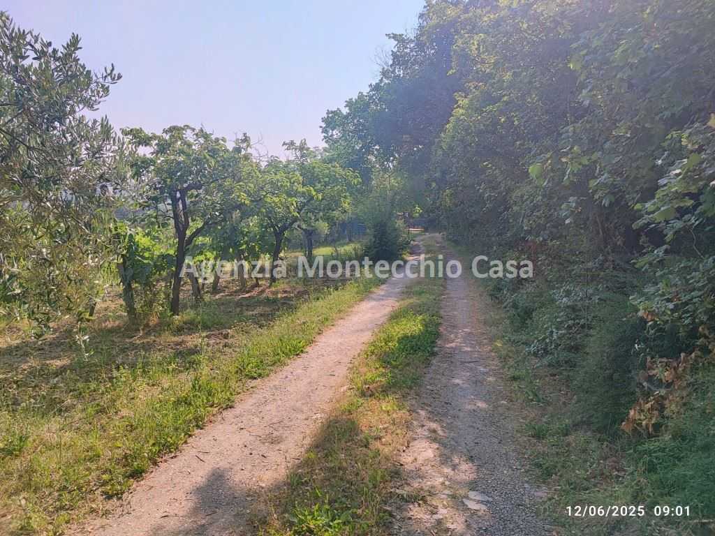 immagine annuncio 12 di 14