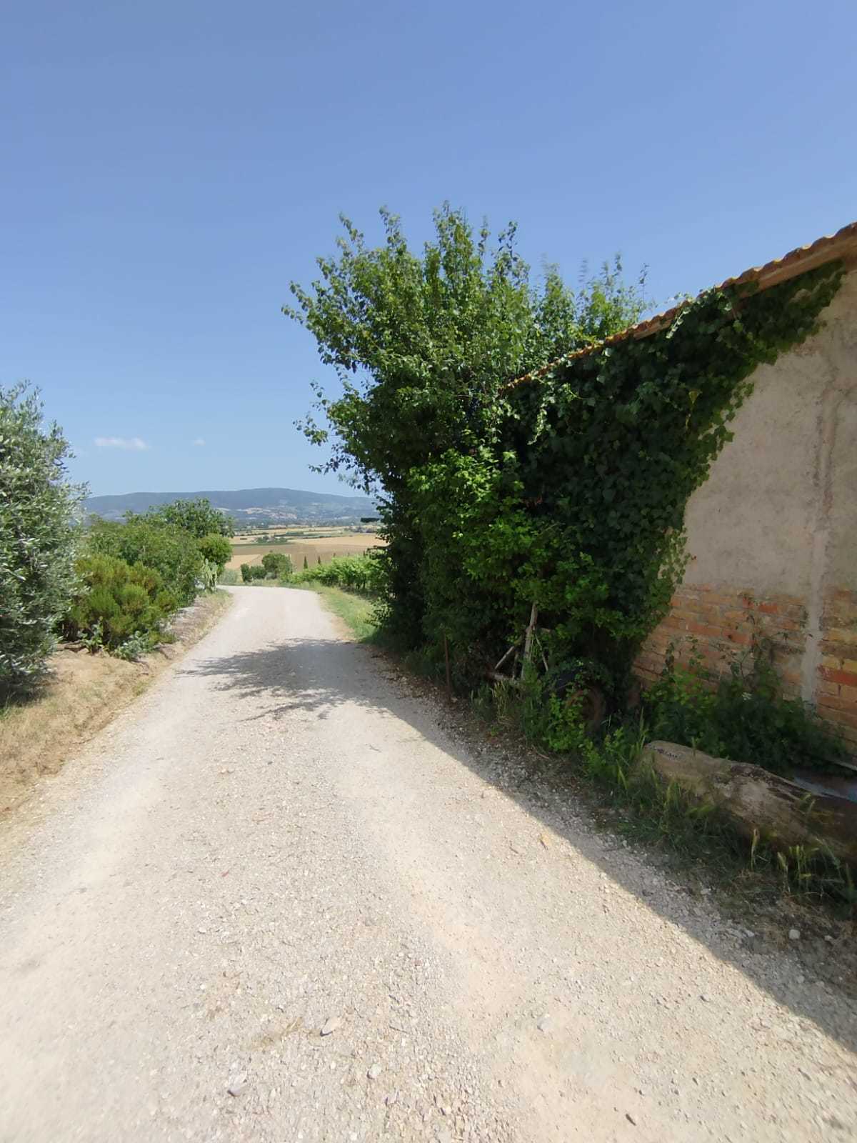  - foto 30