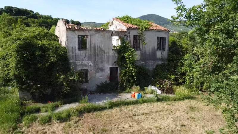 immagine annuncio 4 di 6