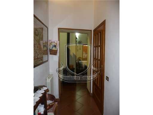  - foto 11