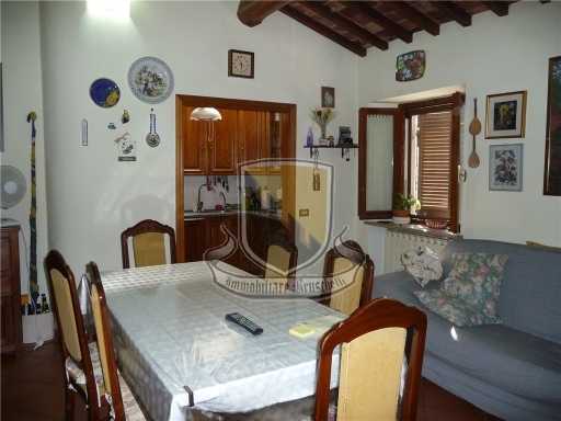  - foto 13