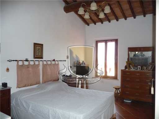  - foto 21