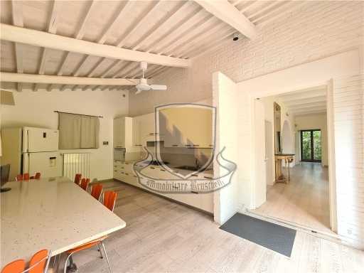  - foto 23