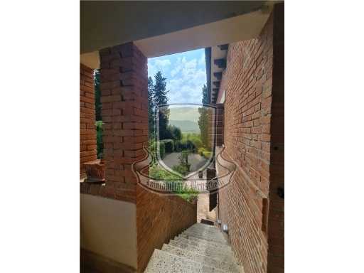  - foto 29