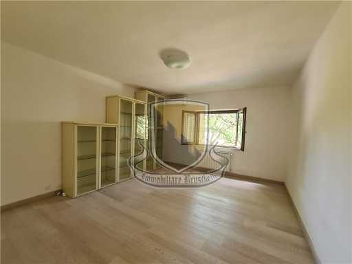  - foto 34