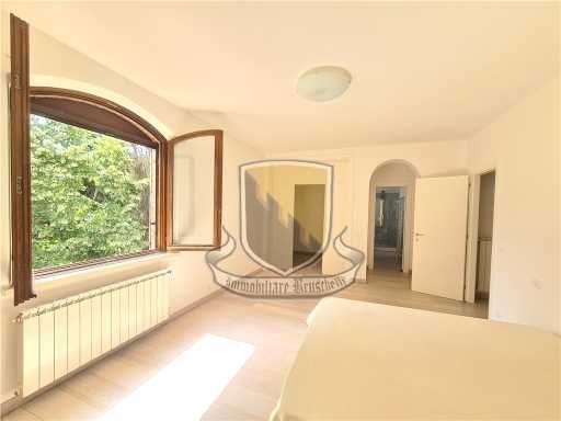  - foto 37