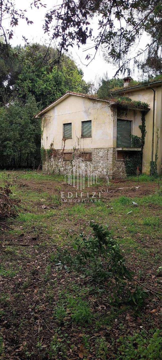immagine annuncio 12 di 14