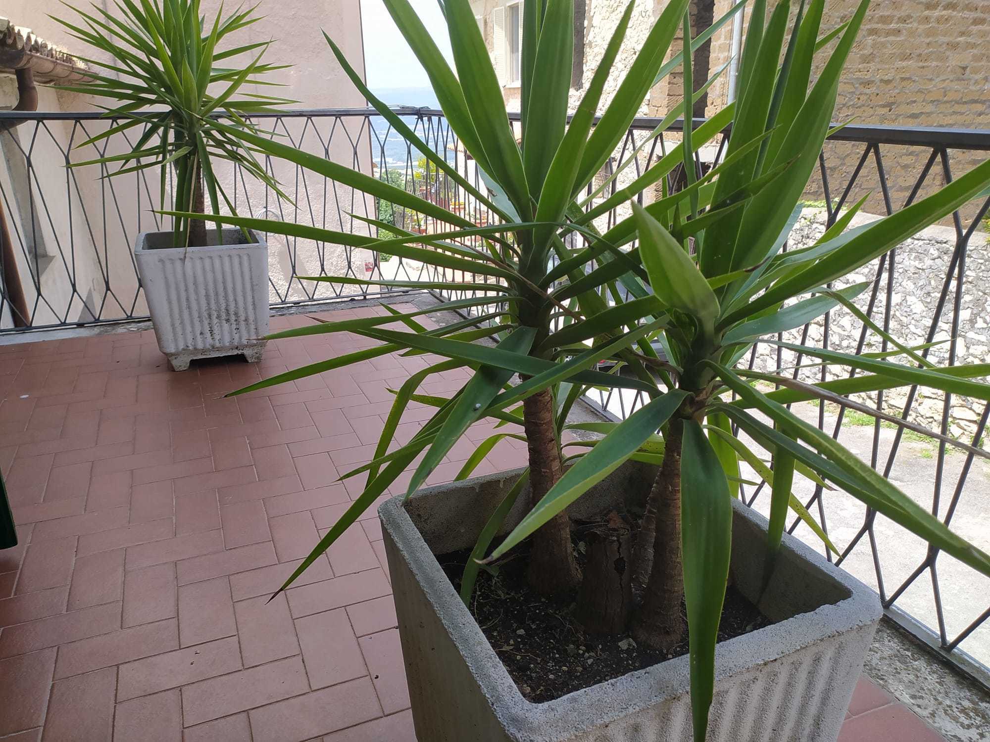  - foto 16