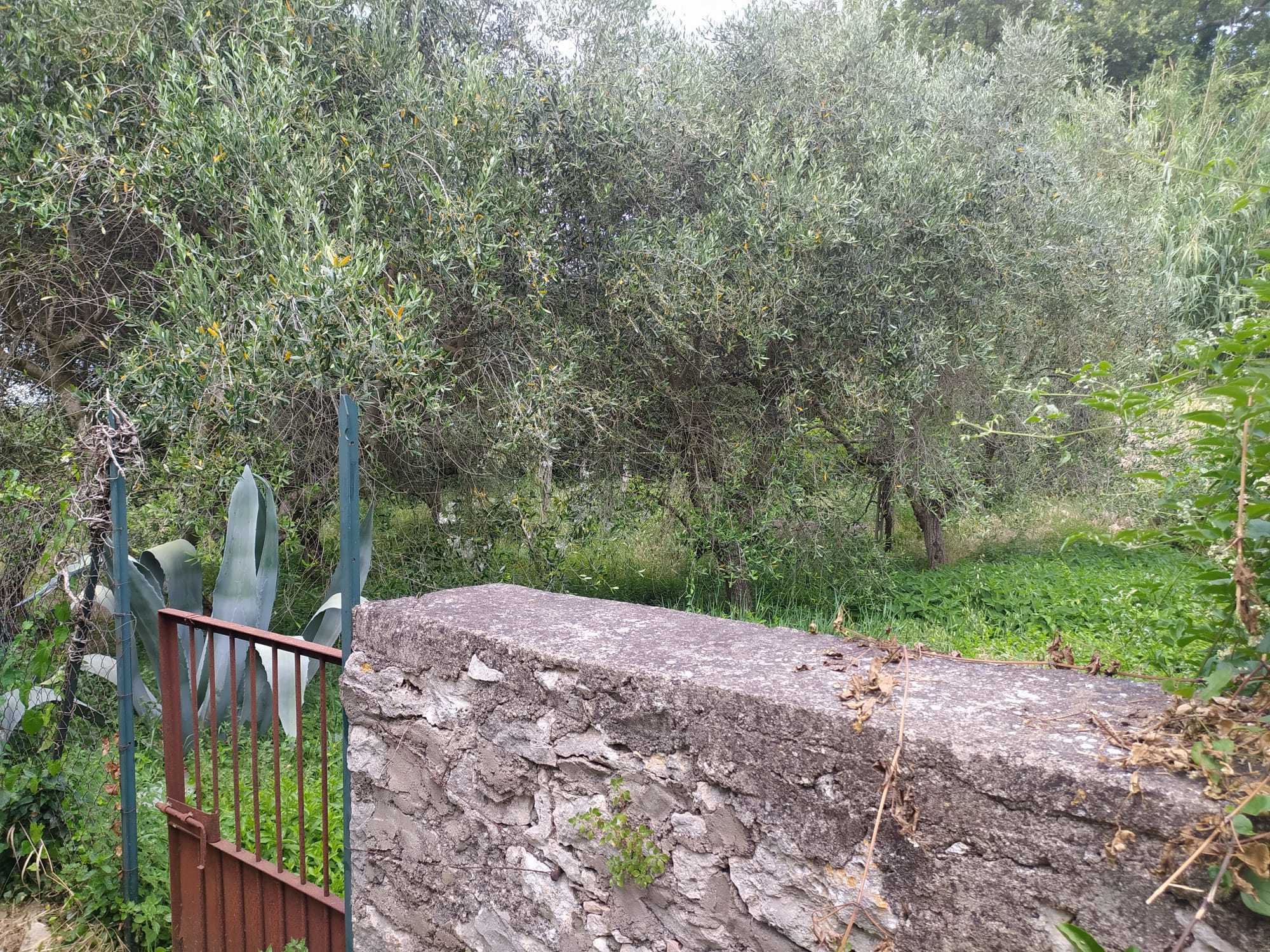  - foto 45