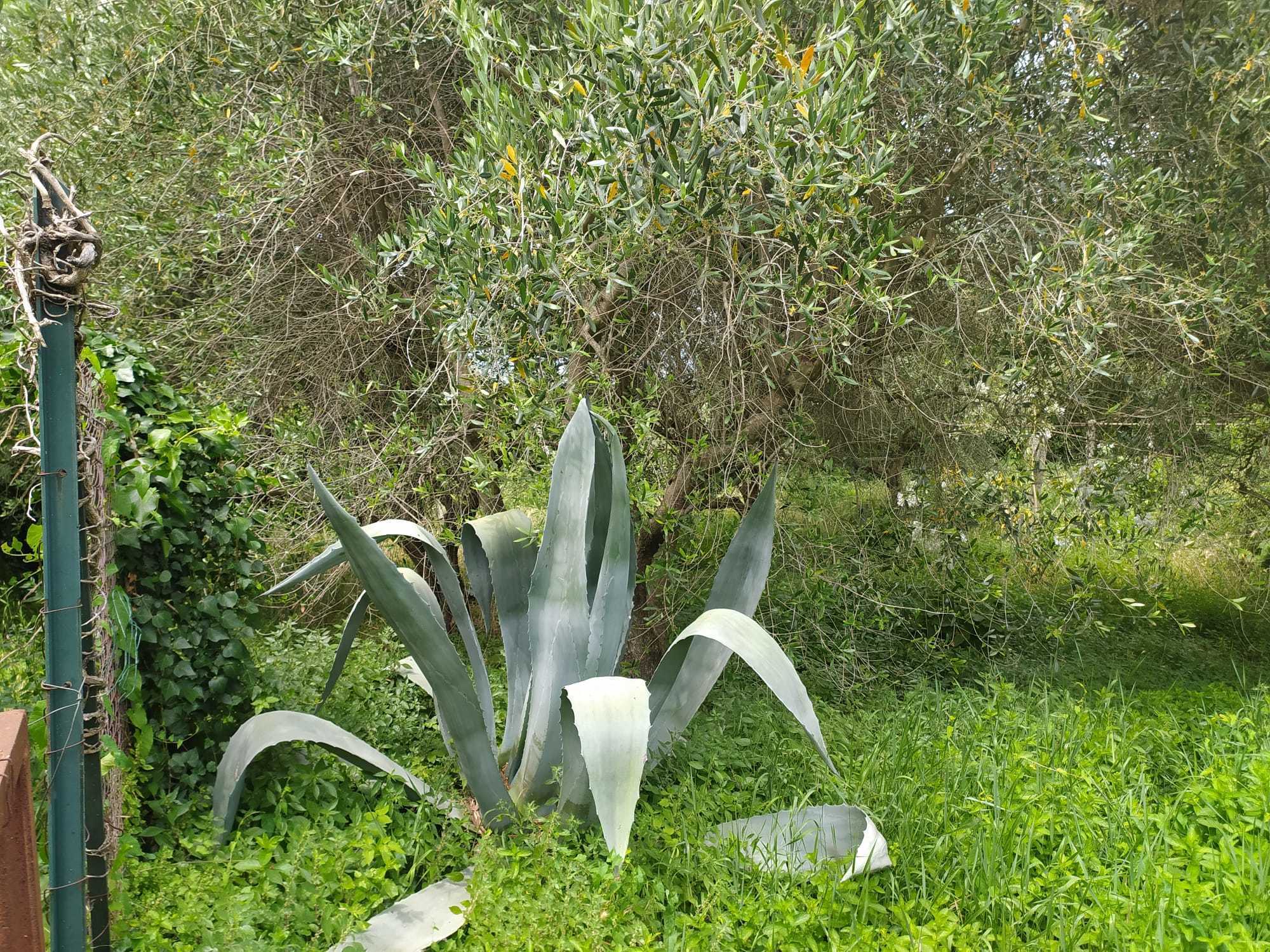  - foto 47