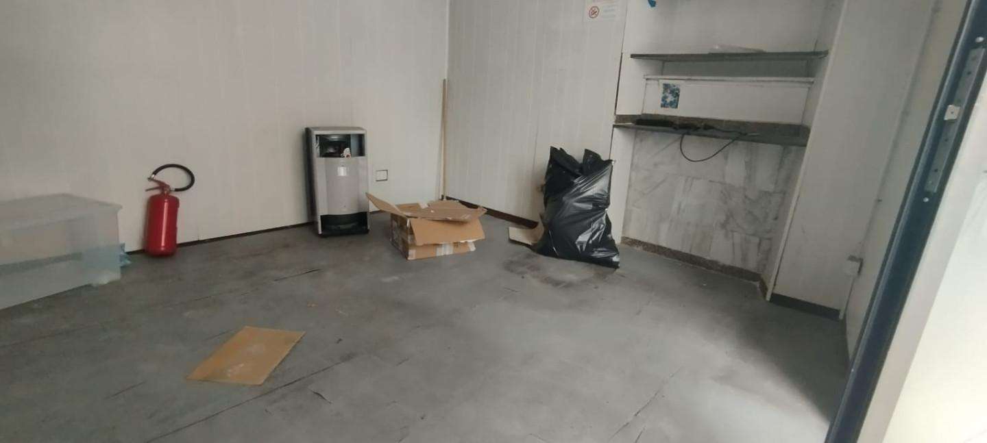  - foto 3