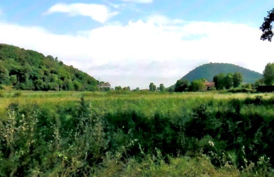 immagine annuncio 3 di 9