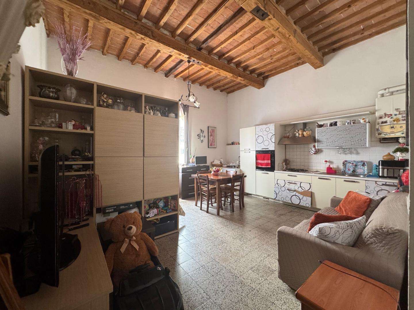 immagine annuncio 0 di 15