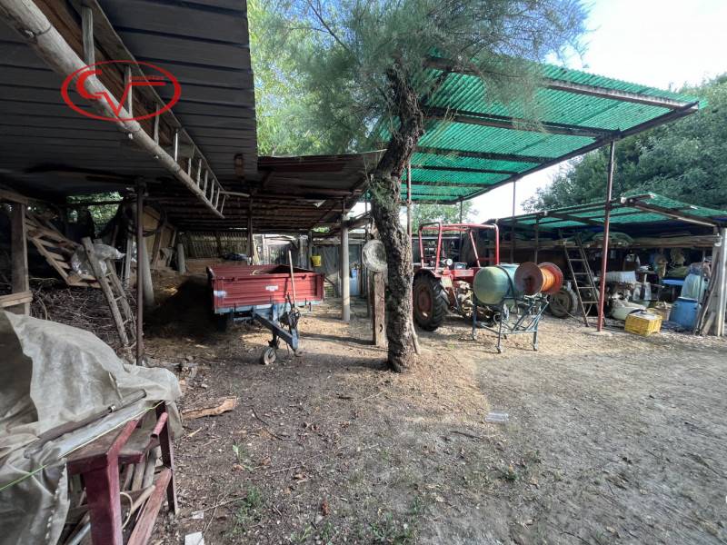 immagine annuncio 8 di 9