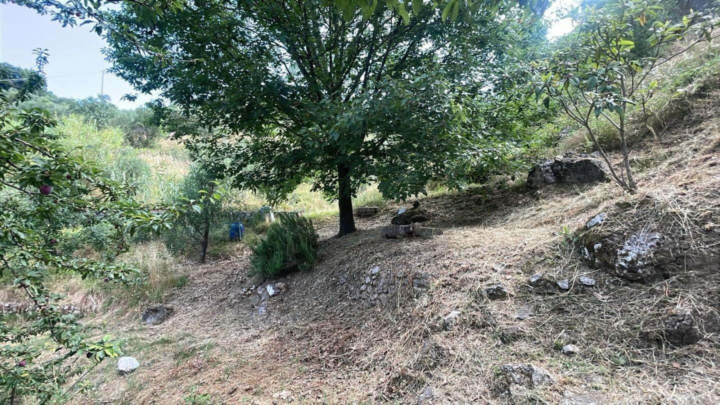 - foto 21