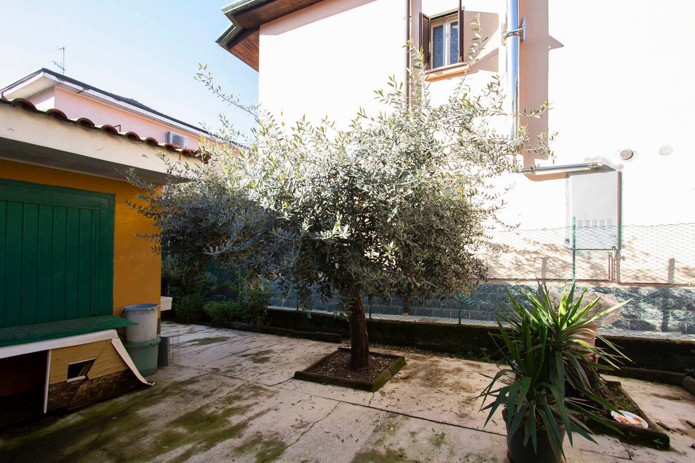 immagine annuncio 5 di 10