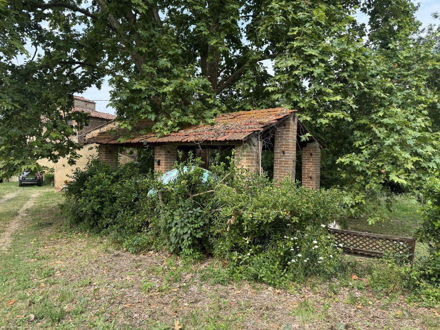 - foto 4