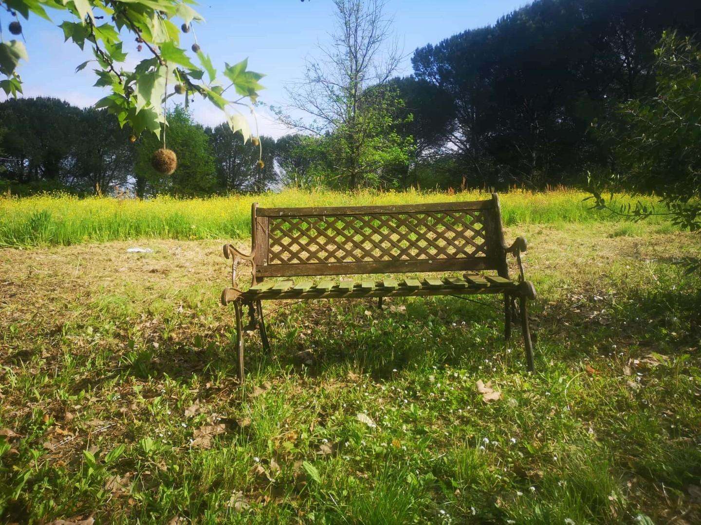  - foto 44