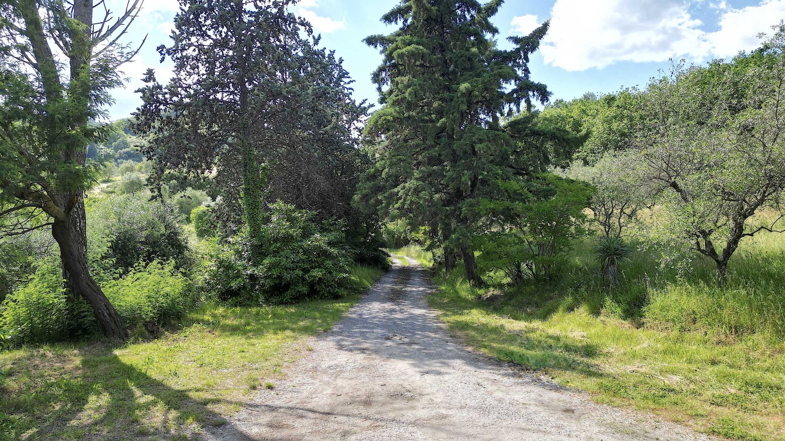  - foto 6