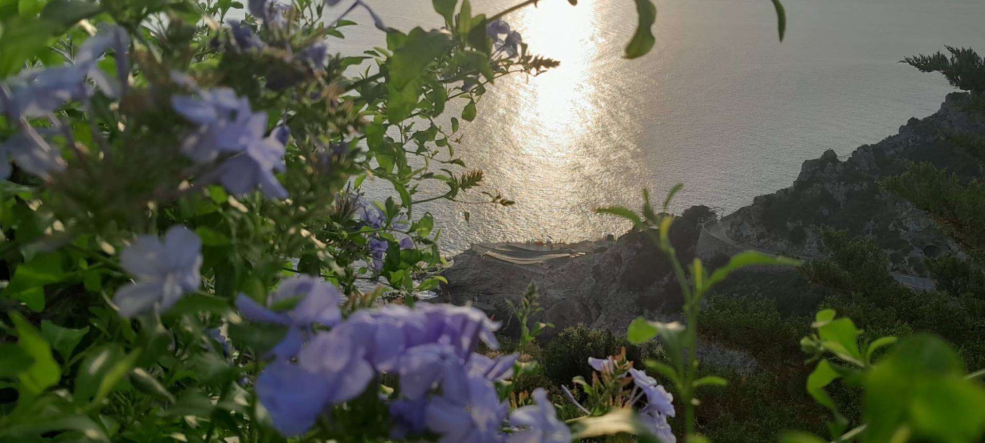  - foto 9