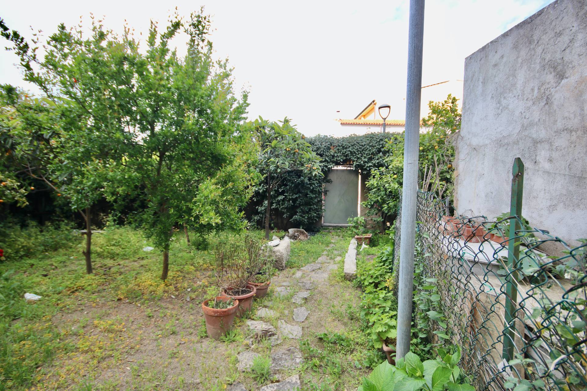 immagine annuncio 1 di 9