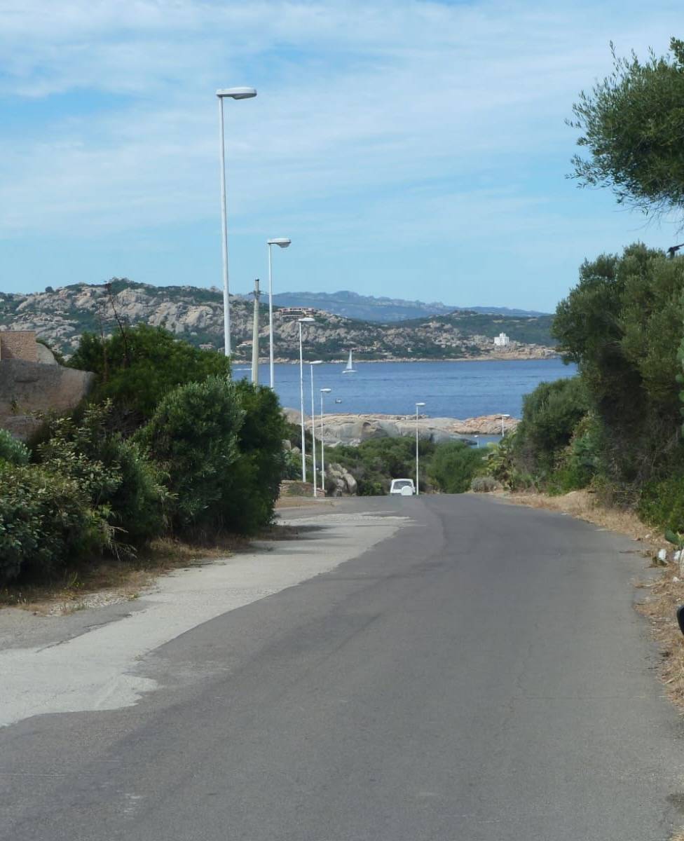 immagine annuncio 6 di 14