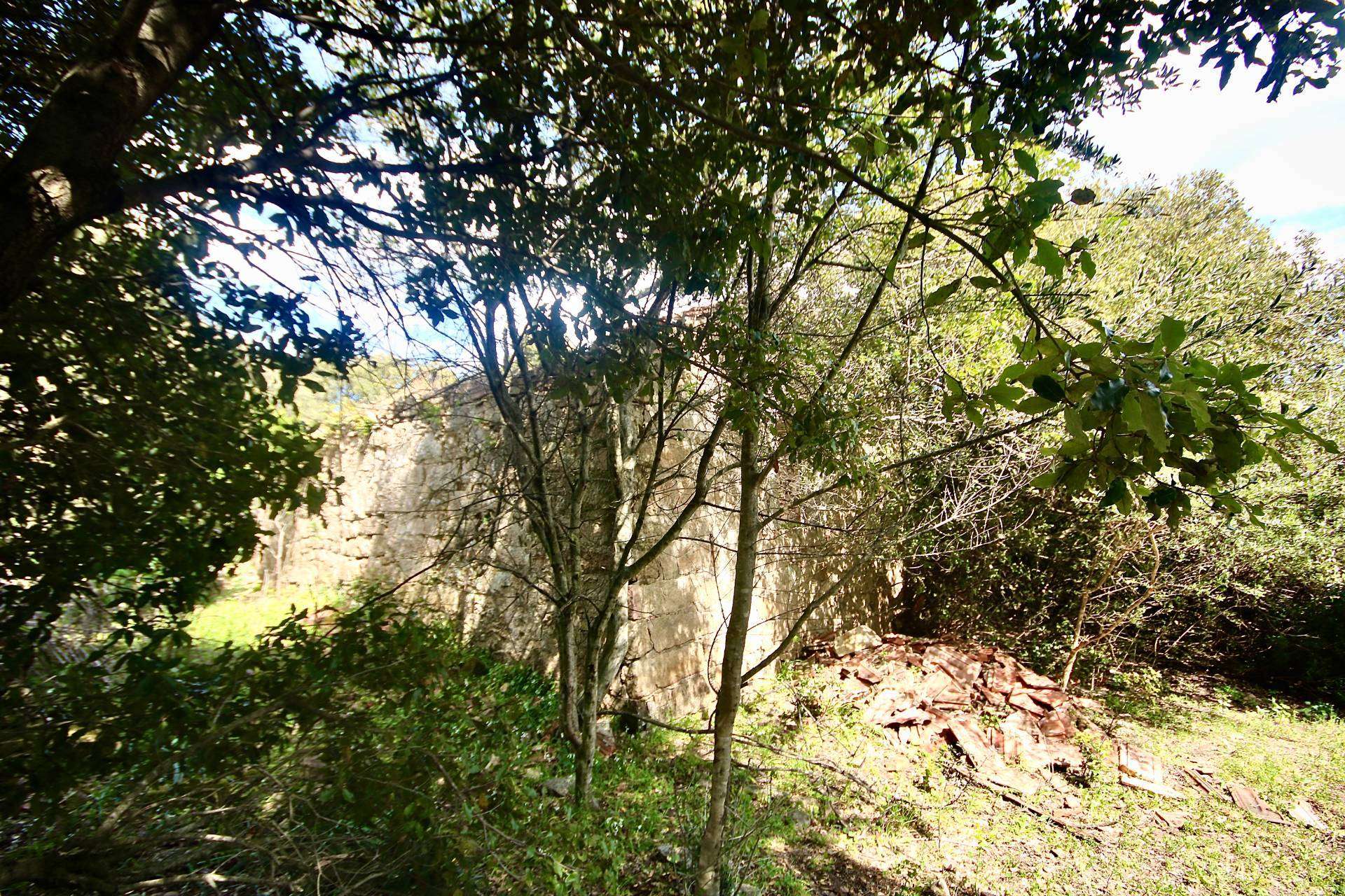  - foto 11