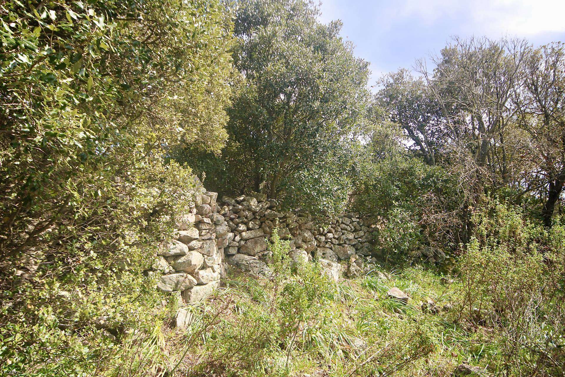 - foto 15