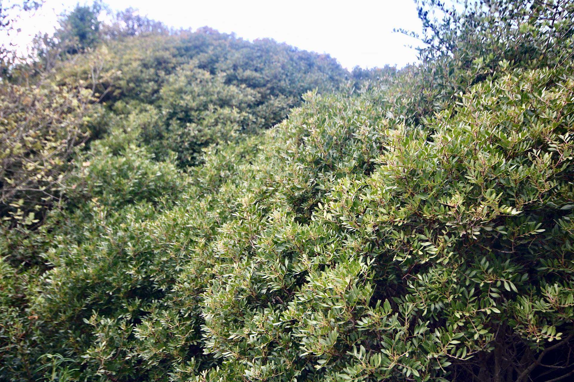  - foto 23