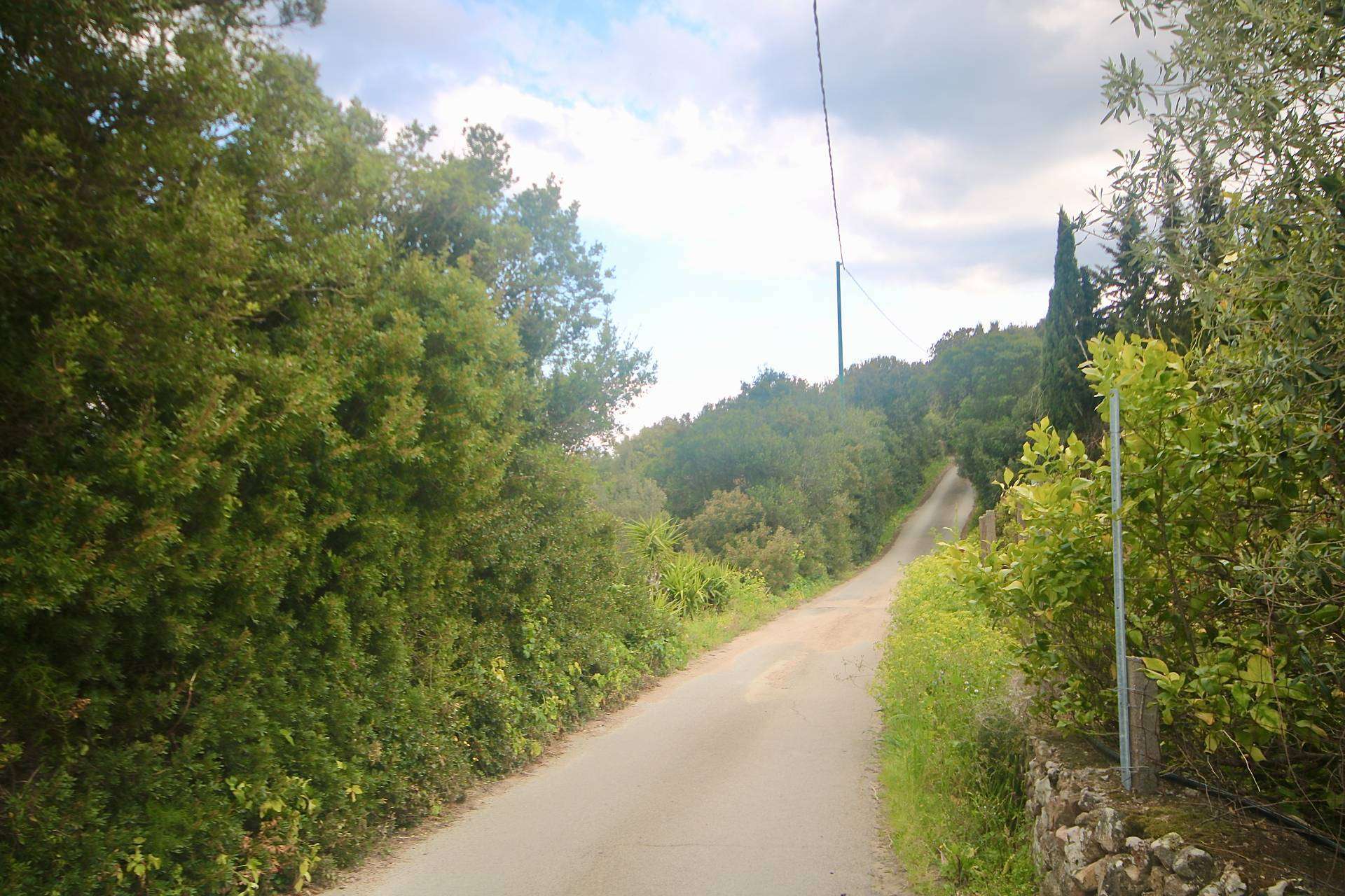  - foto 42