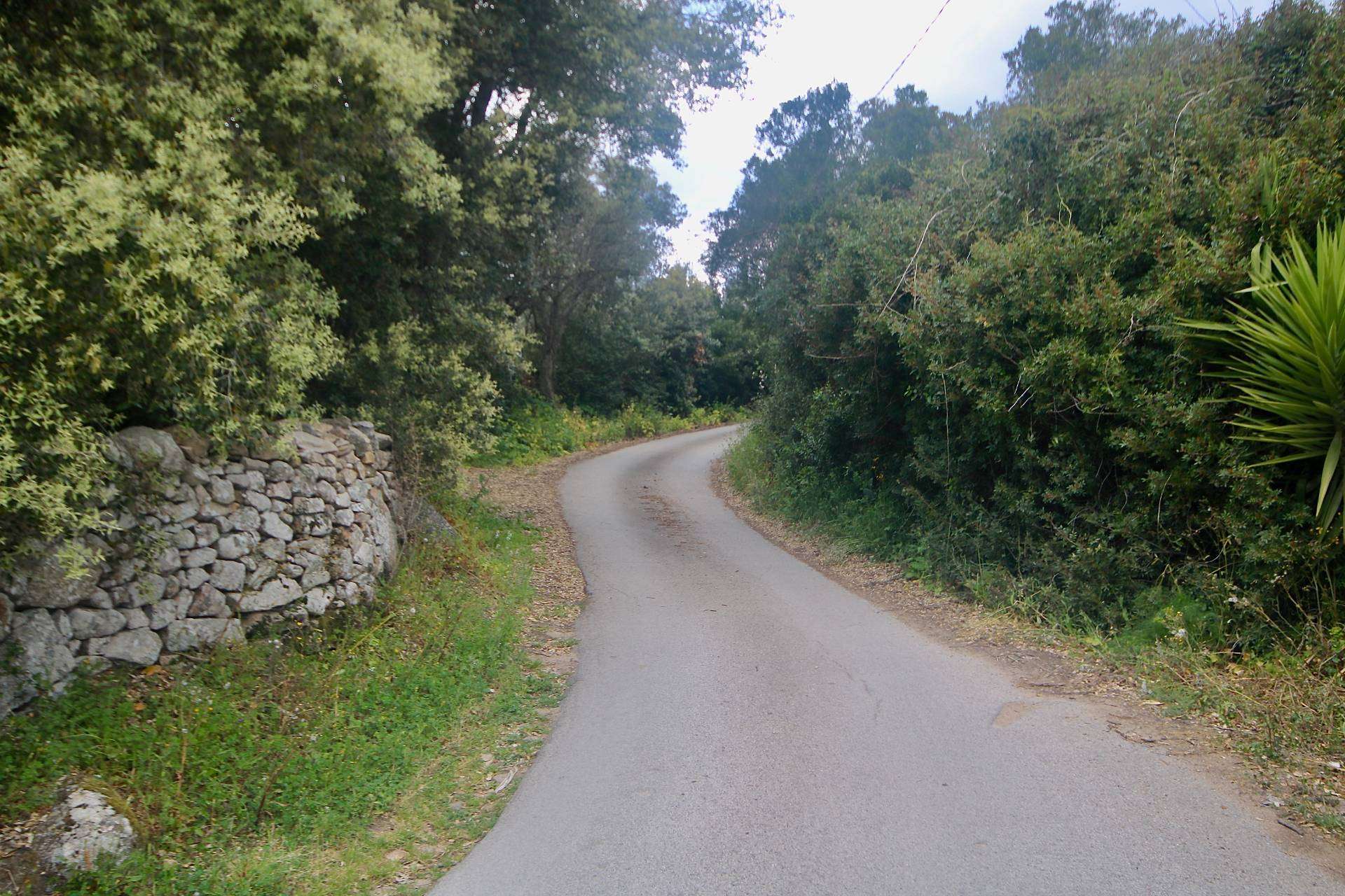  - foto 49