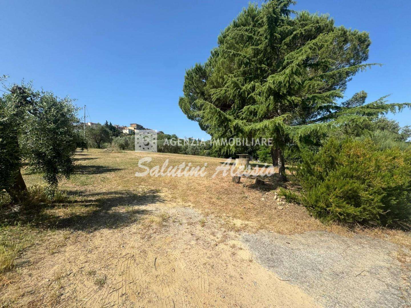  - foto 41
