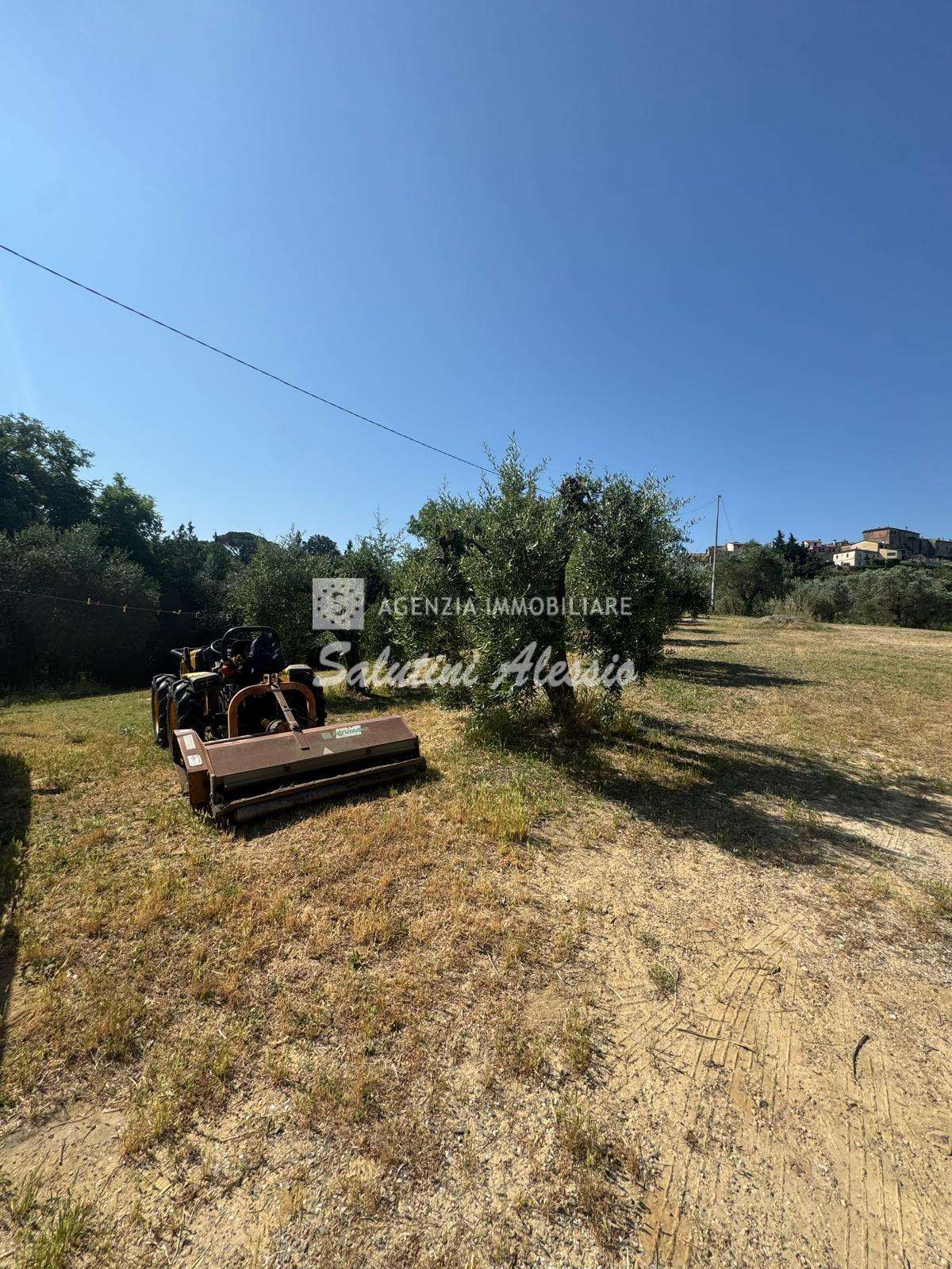  - foto 43